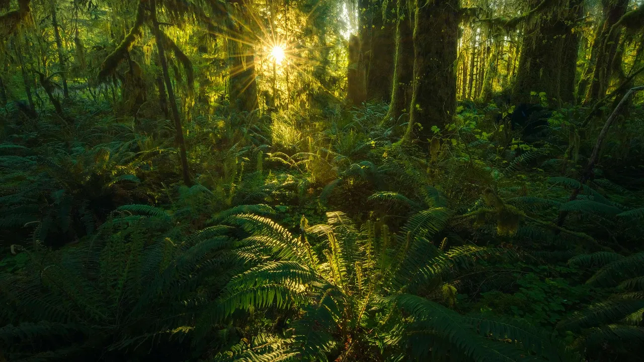 A lush kingdom