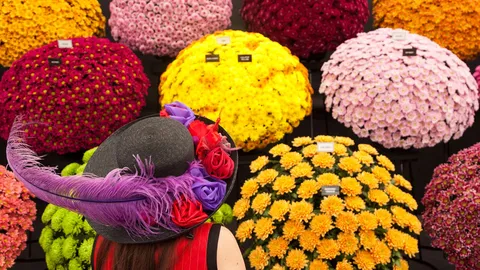 A peony for your thoughts