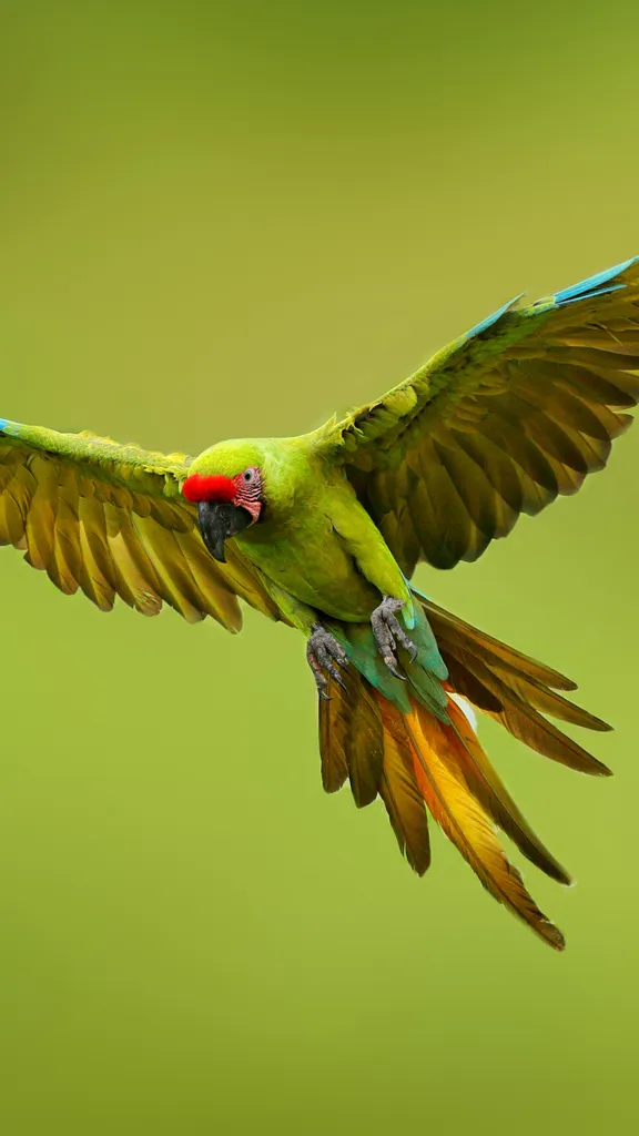 Die Vielfalt der Natur