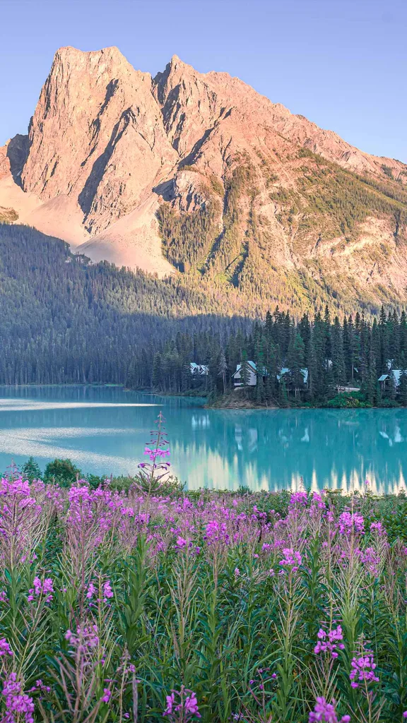 Nature's summer showcase