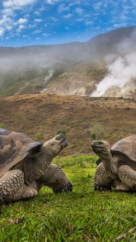 甜蜜的火山家园