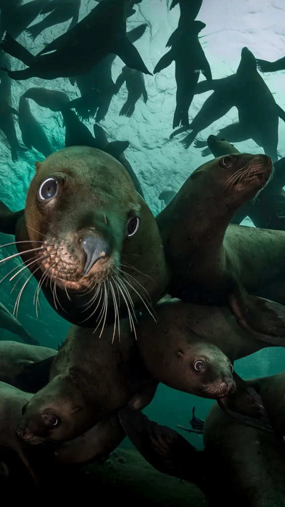 Pr&eacute;server ce qui nous pr&eacute;serve