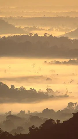 Getting lost in the mist