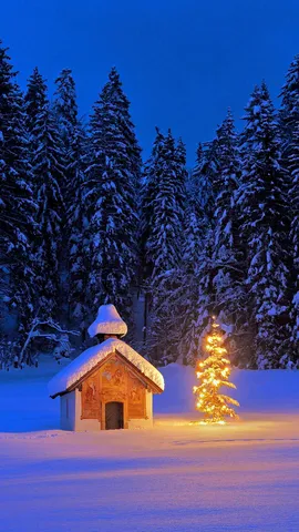 今日はクリスマス・イヴ