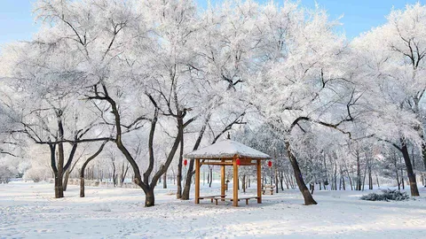 美丽的雾凇景色