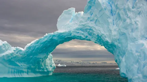An ocean's frozen cathedral