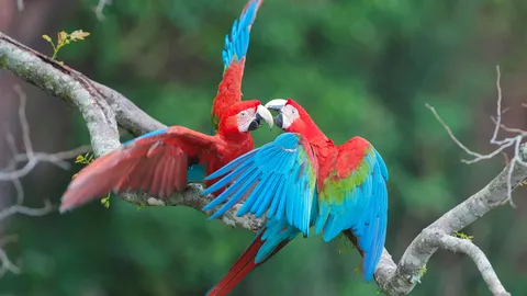 O amor est&aacute; no ar!