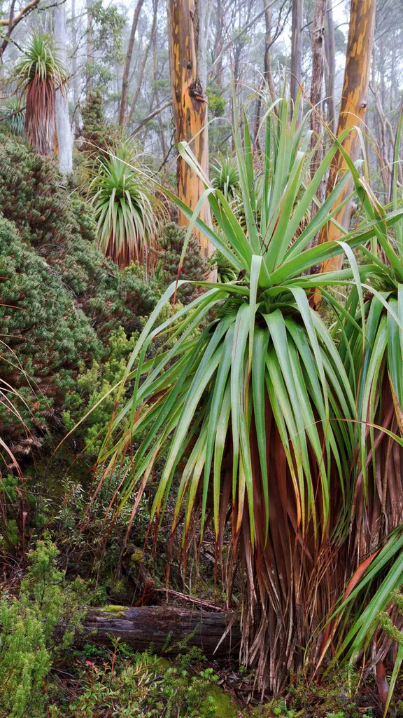 Ein Park f&uuml;r alle Jahreszeiten