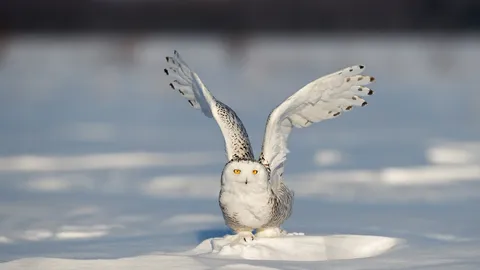 Ready for liftoff