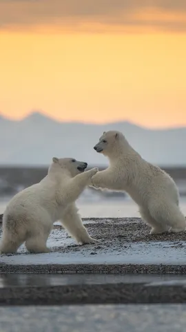 Giovinezza e spensieratezza!