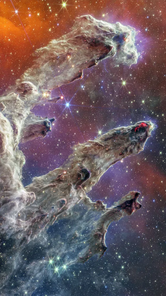 Ein Universum in voller Bl&uuml;te