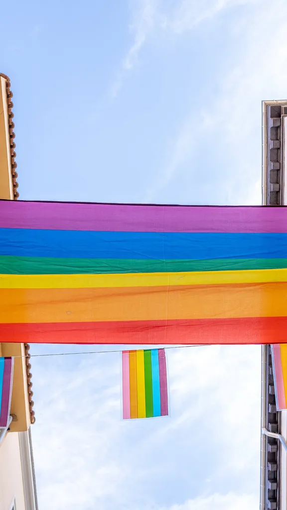 &iexcl;Los colores del orgullo!
