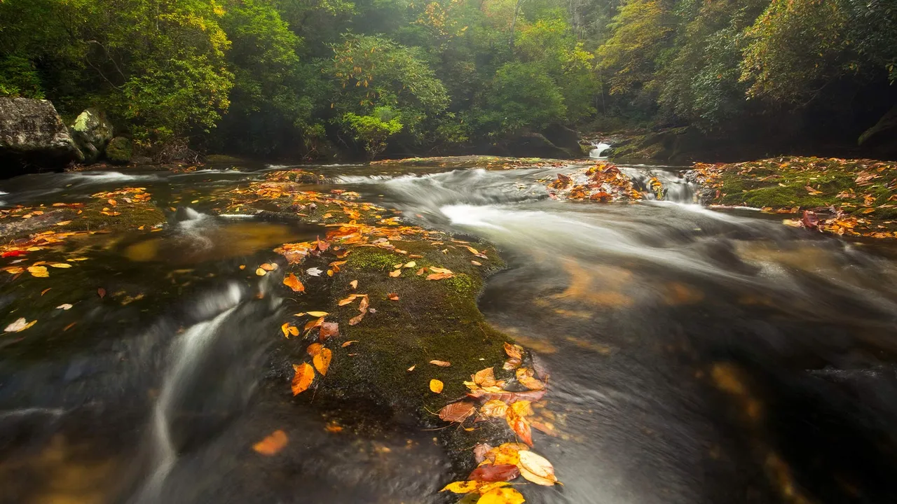 Chattooga River in the Appalachian Mountains, North Carolina, United States