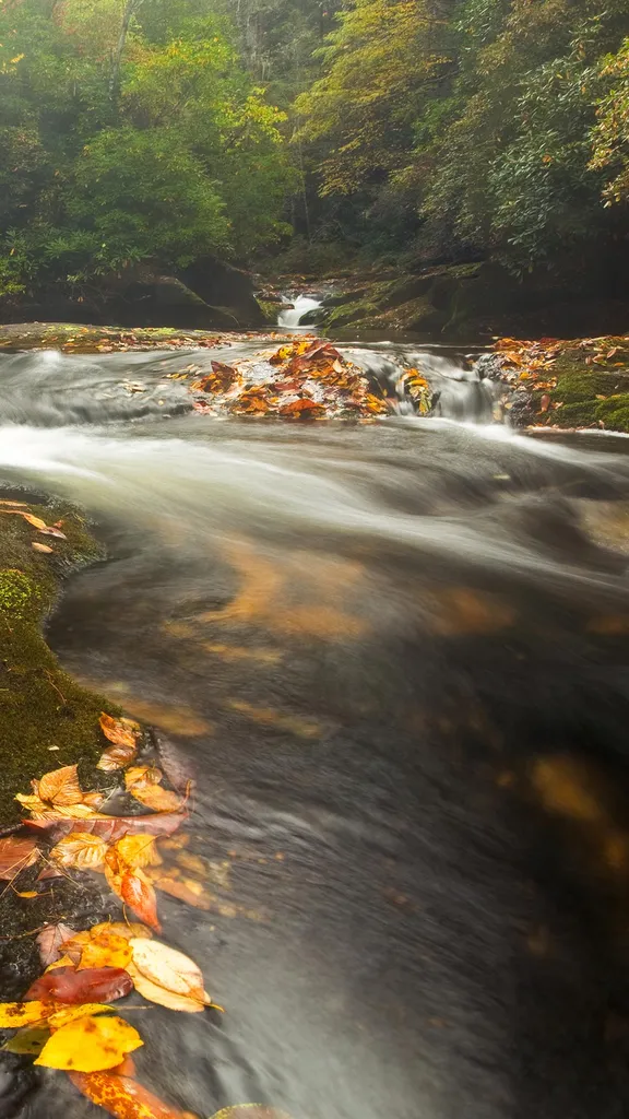 Chattooga River in the Appalachian Mountains, North Carolina, United States