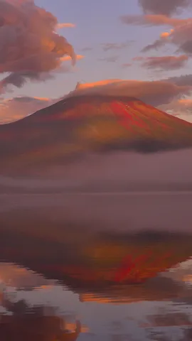 今日は富士山の日