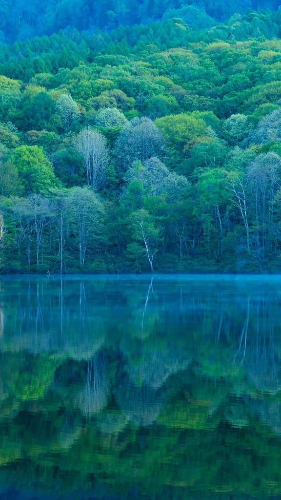 Uno specchio che riflette la bellezza della natura