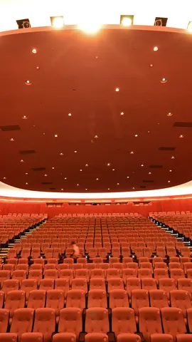 Filmkunst, Vielfalt und Tradition