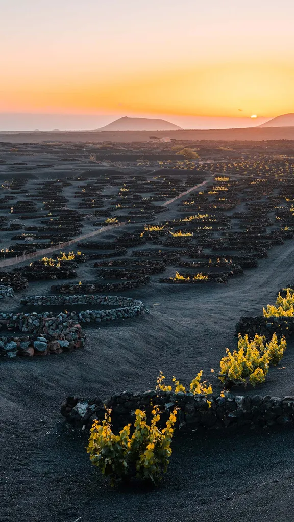 Un sorso dopo l'altro