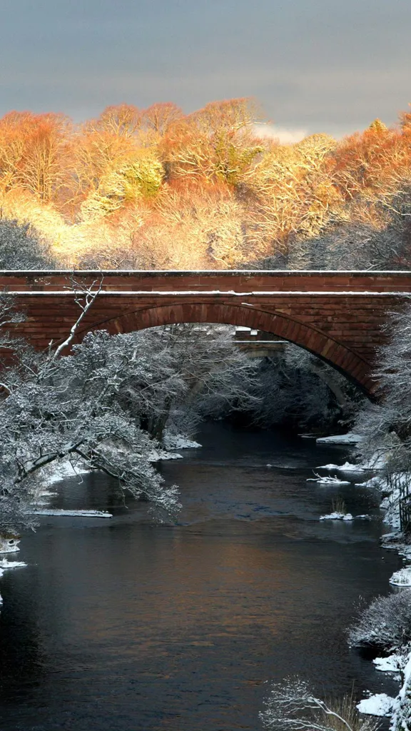 今日はスコットランドの「バーンズ・ナイト」