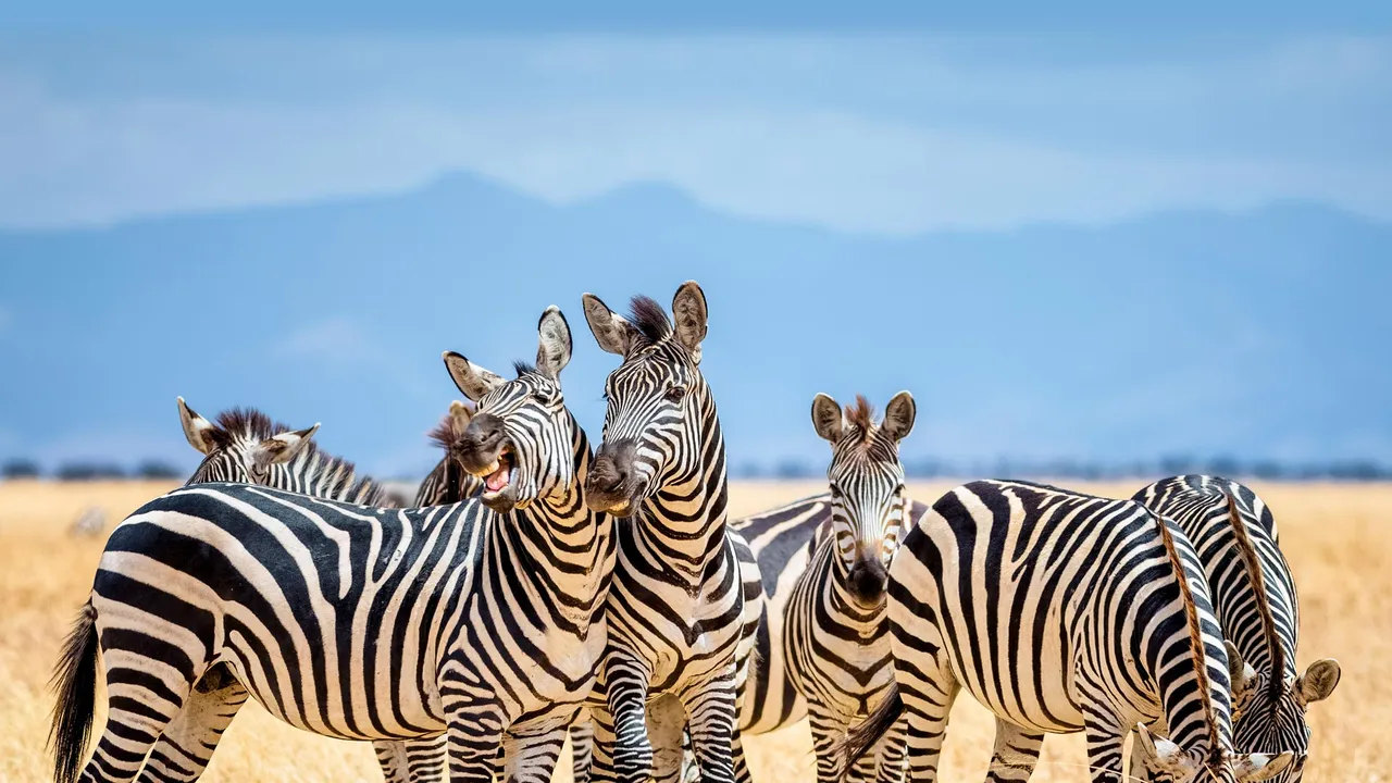Ein Tag f&uuml;r Cousins und Cousinen aller Art