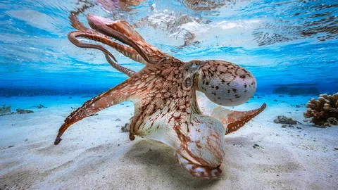 现在你&ldquo;海&rdquo;能看见我&hellip;&hellip;
