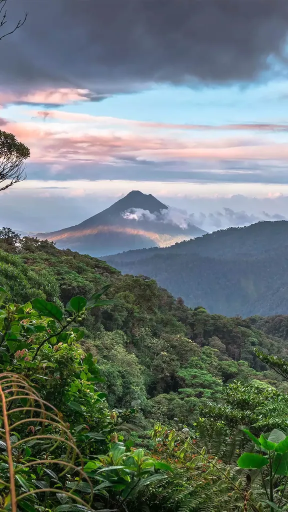 为了每个人，保护地球的生物多样性