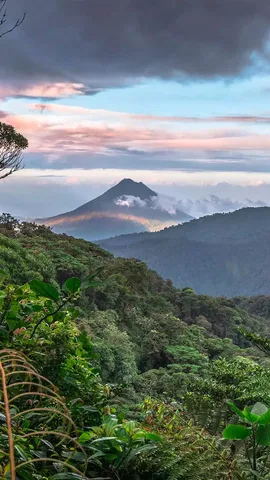 为了每个人，保护地球的生物多样性