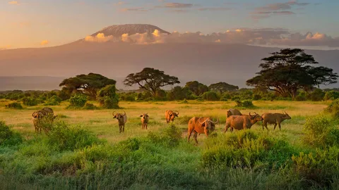 一个关于可持续发展的实验